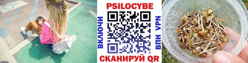 где продают   Омутнинск  Псилоцибиновые грибы мицелий 