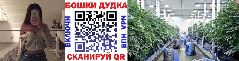 Бошки Шишки марихуана  наркотики  Омутнинск 
